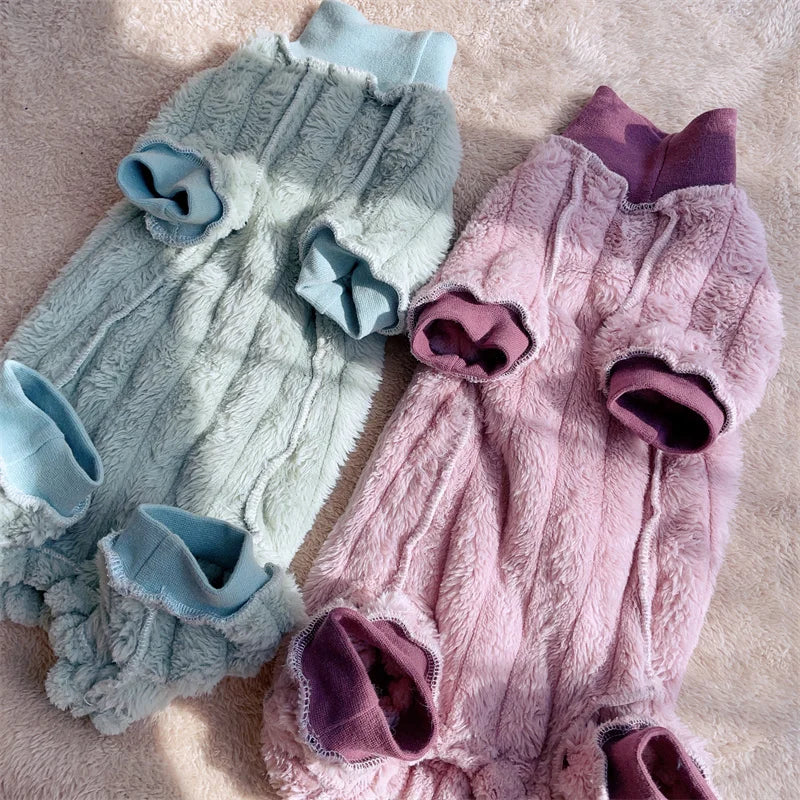 Juju Majic™ - Turtly